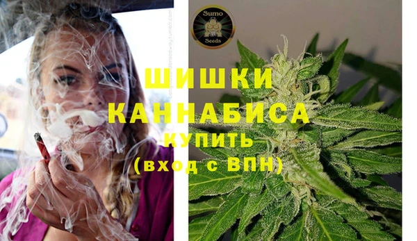 мдпв Лабытнанги