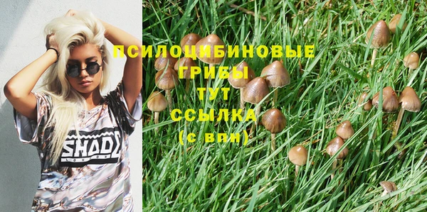 амфетамин Лагань