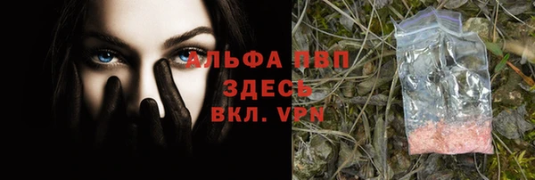 мдпв Лабытнанги