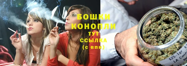 мдпв Лабытнанги