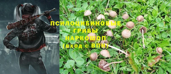 мяу мяу кристалл Ладушкин